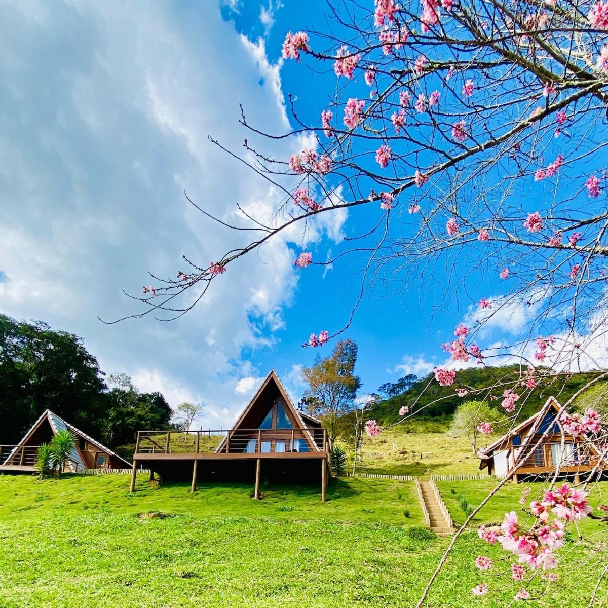 Chales Fazenda Floresta Das Araucarias กุนญา ภายนอก รูปภาพ